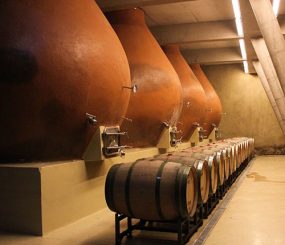 Ruta del Vino Casablanca