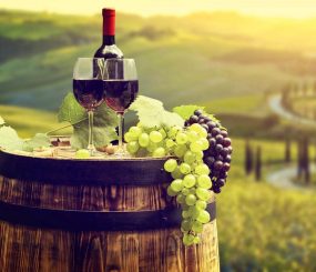Ruta del Vino