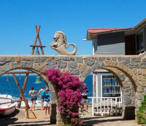 Isla Negra